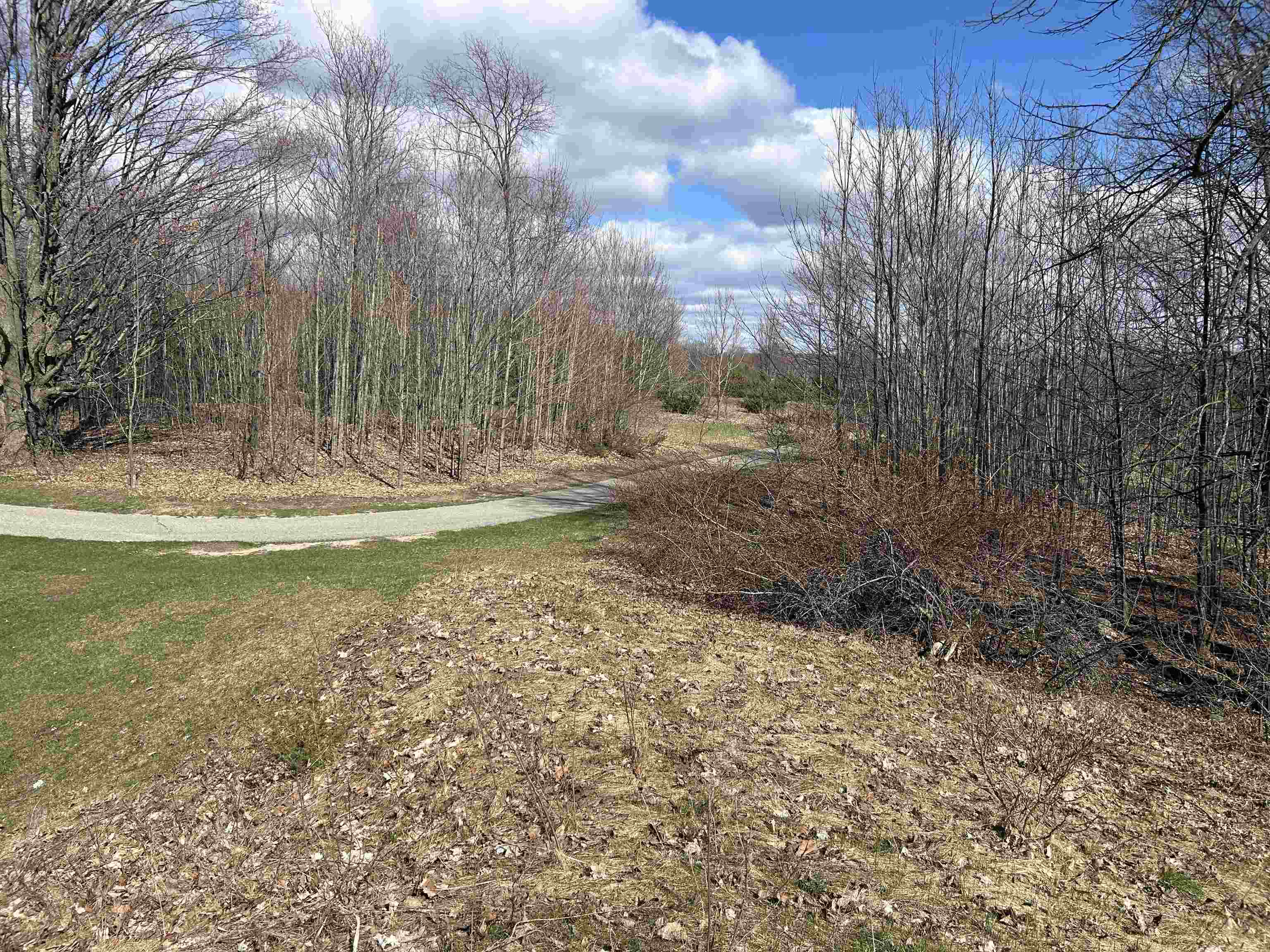 Lot 2 Fox Trail