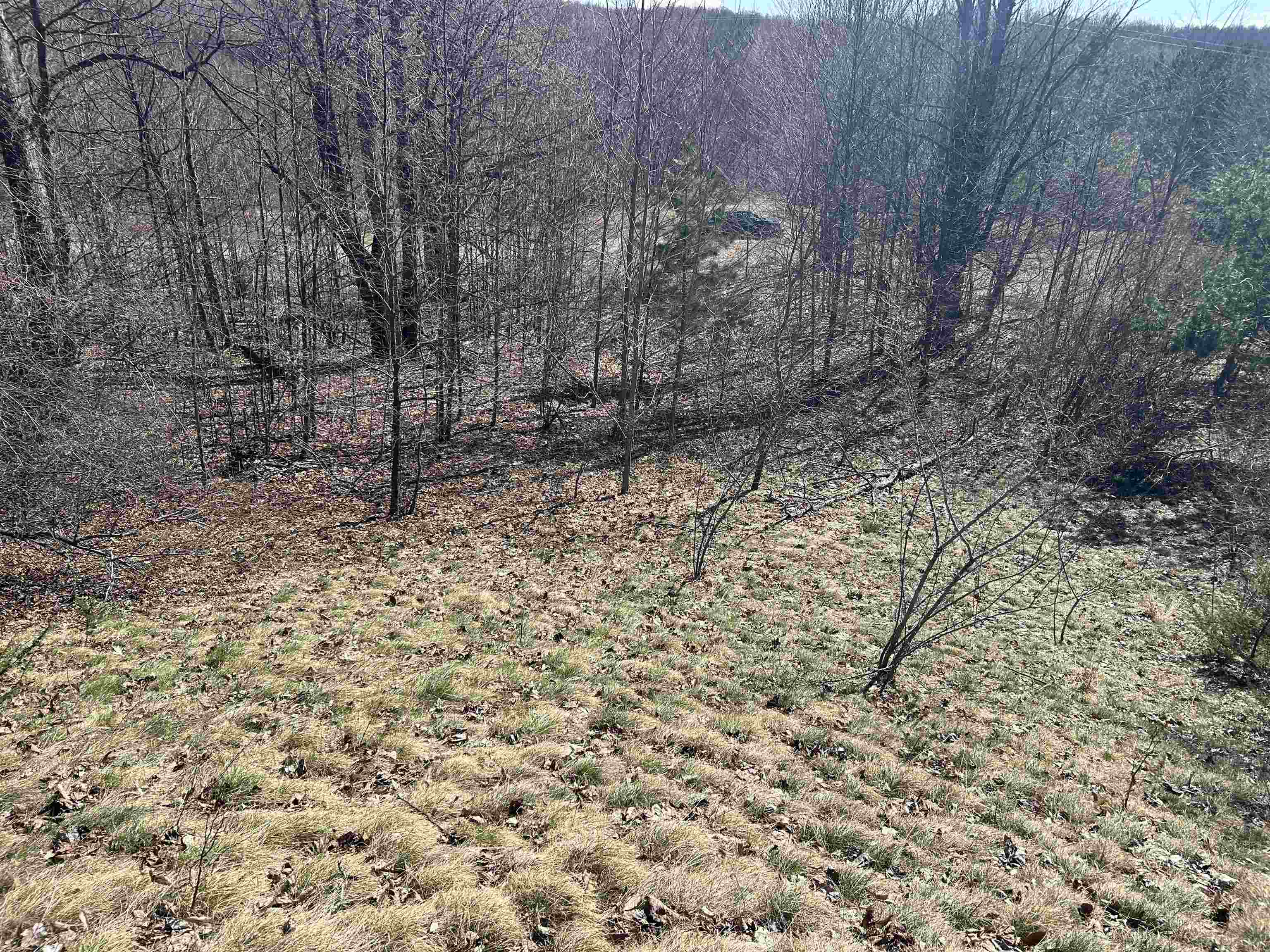 Lot 2 Fox Trail