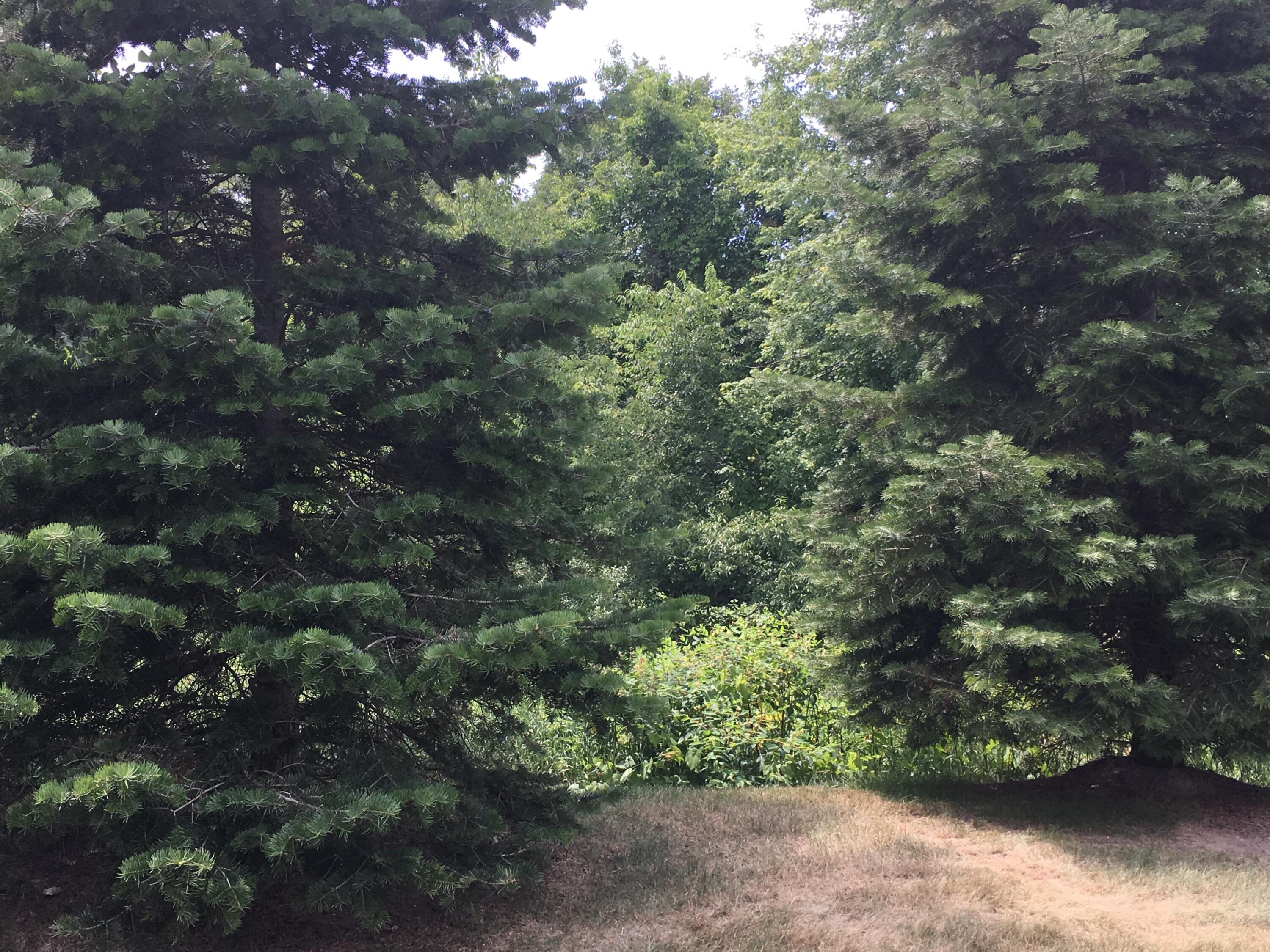 20209 Chesapeake Circle