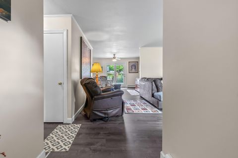 Tiny photo for 207 Maumee Street, Jonesville City, MI 49250 (MLS # 53026006006)