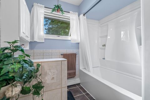 Tiny photo for 207 Maumee Street, Jonesville City, MI 49250 (MLS # 53026006006)