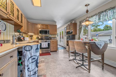 Tiny photo for 207 Maumee Street, Jonesville City, MI 49250 (MLS # 53026006006)