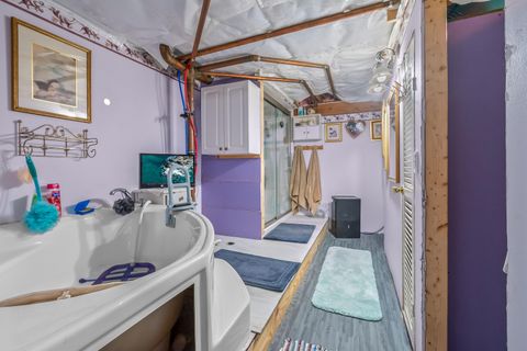 Tiny photo for 207 Maumee Street, Jonesville City, MI 49250 (MLS # 53026006006)