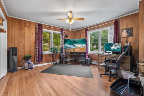 Tiny photo for 207 Maumee Street, Jonesville City, MI 49250 (MLS # 53026006006)