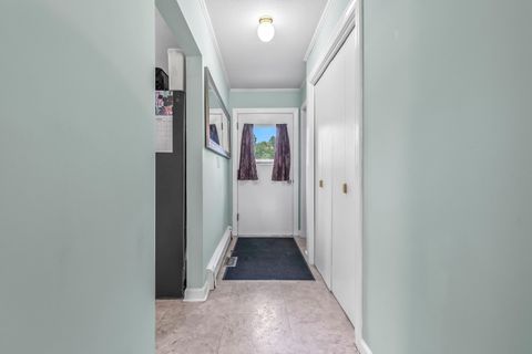 Tiny photo for 207 Maumee Street, Jonesville City, MI 49250 (MLS # 53026006006)