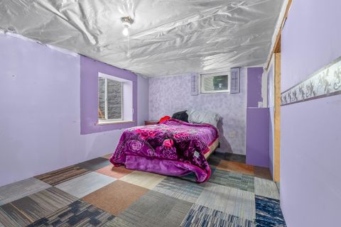 Tiny photo for 207 Maumee Street, Jonesville City, MI 49250 (MLS # 53026006006)