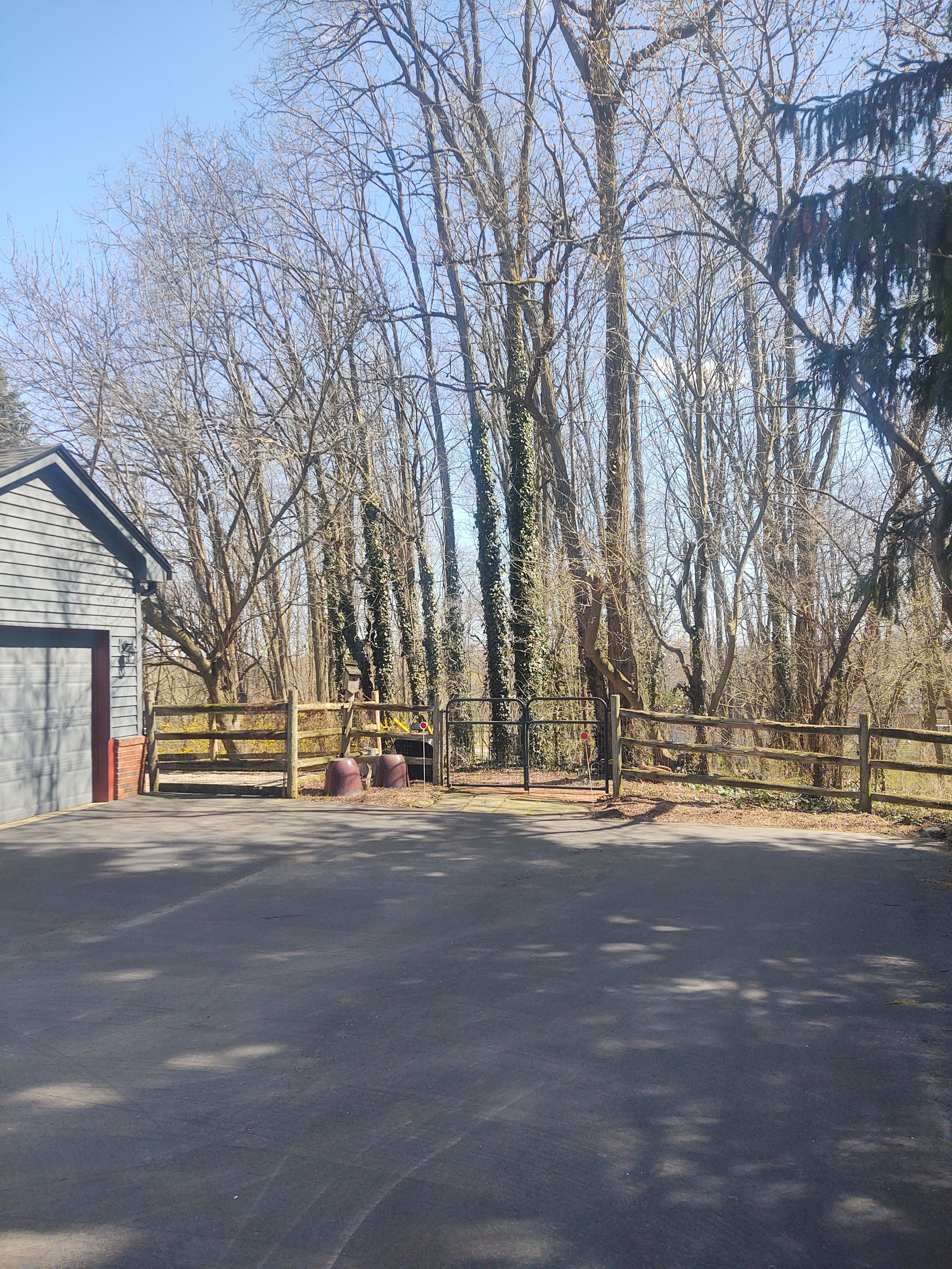 4390 LILY Drive