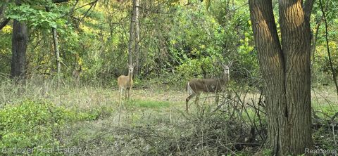 000F N Bay Road Barry Township MI 49046