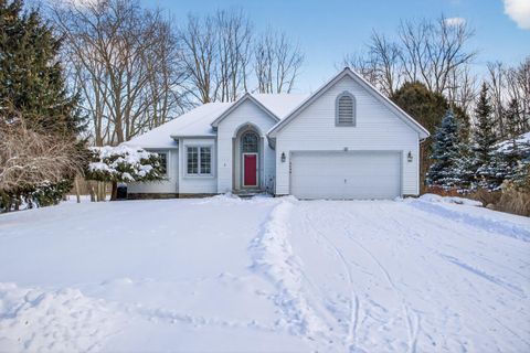 2205 Lake Wood Drive Summit Township MI 49203