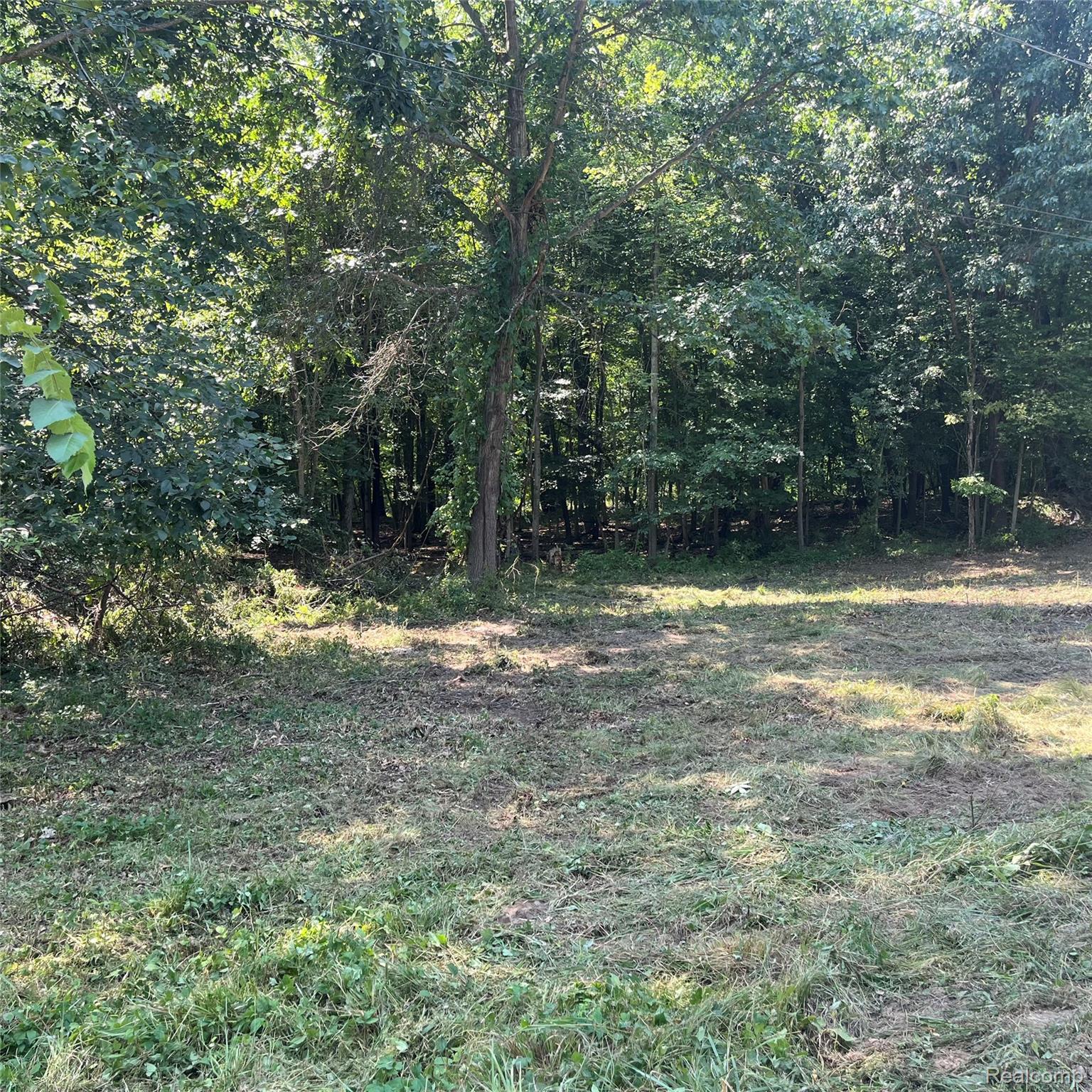 1255 Houghton Trail