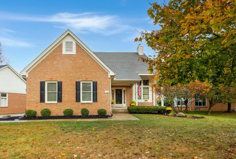 1166 Sugar Creek Drive Rochester Hills City MI 48307