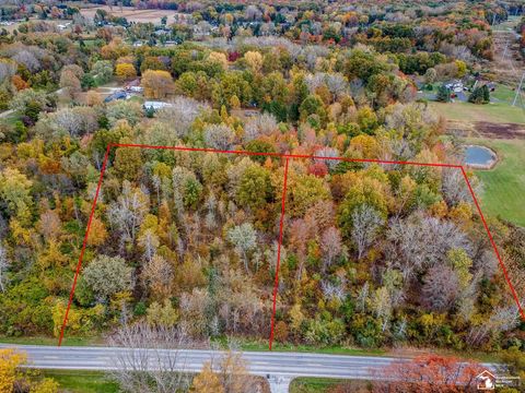 Parcel A Summerfield Road Summerfield Township MI 49270