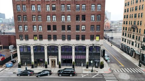 2233 Park Avenue Detroit City MI 48201