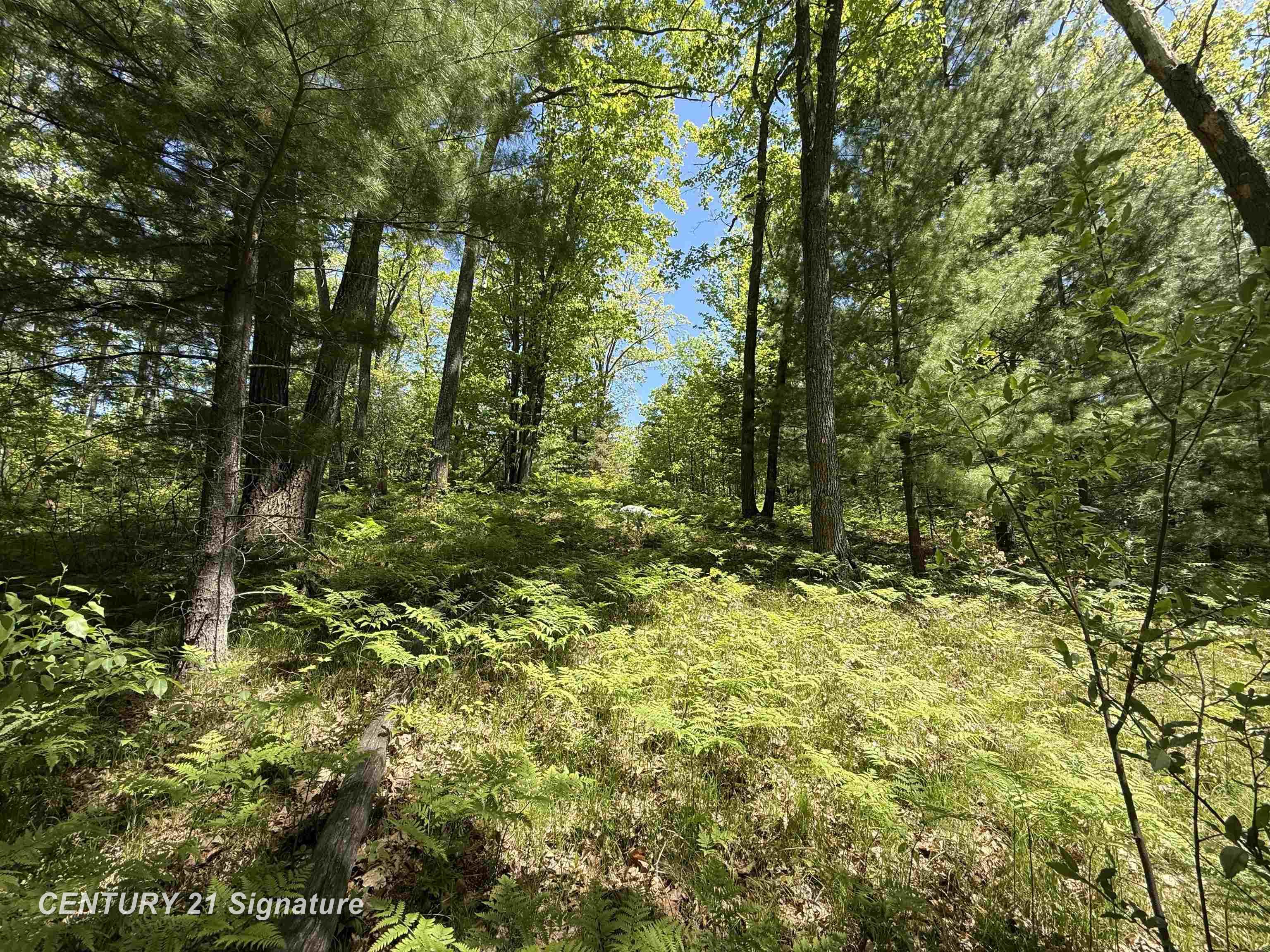 981 E Cranberry Lake Road
