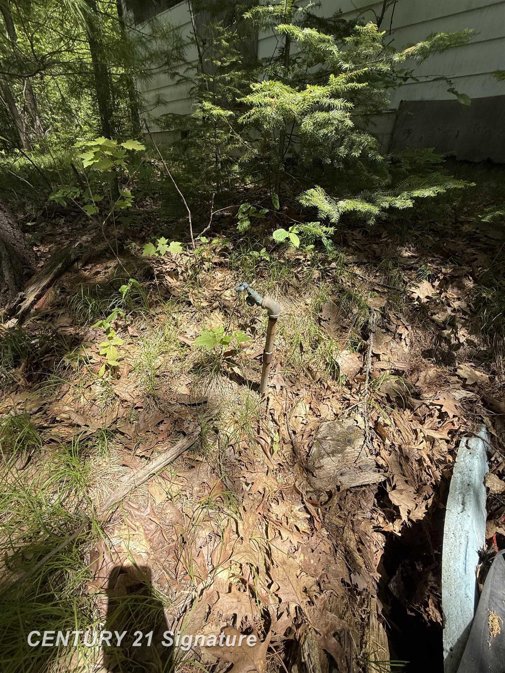 981 E Cranberry Lake Road