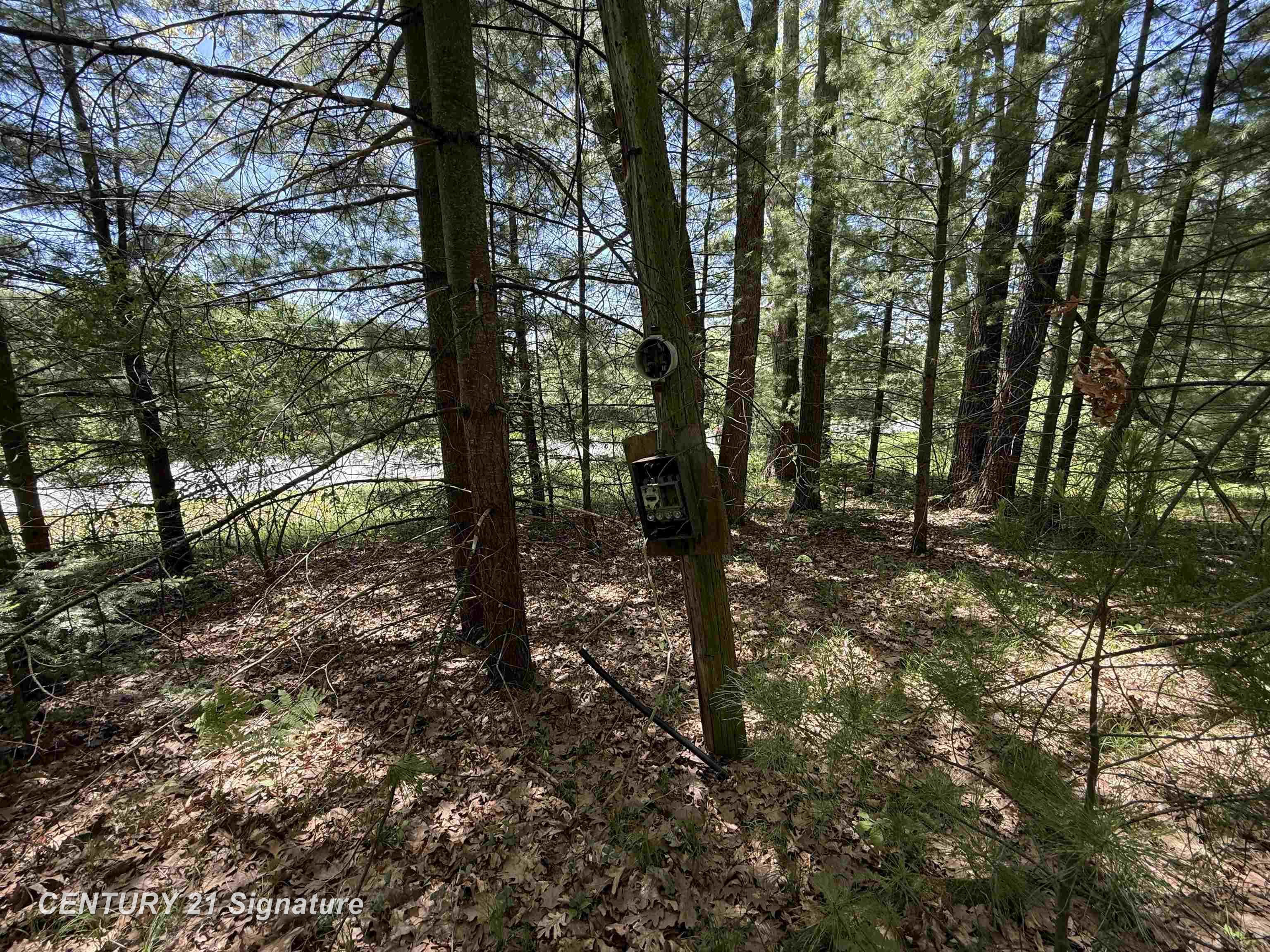 981 E Cranberry Lake Road