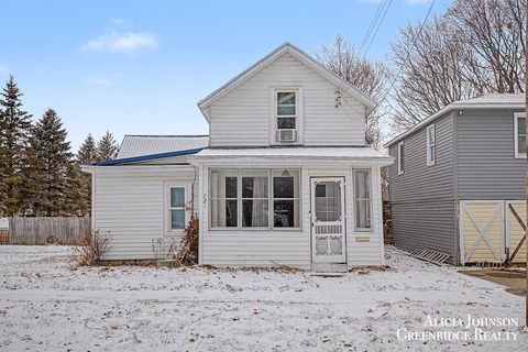 721 S Pearl Street Belding City MI 48809