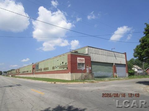 1014 Erie Street Adrian City MI 49221