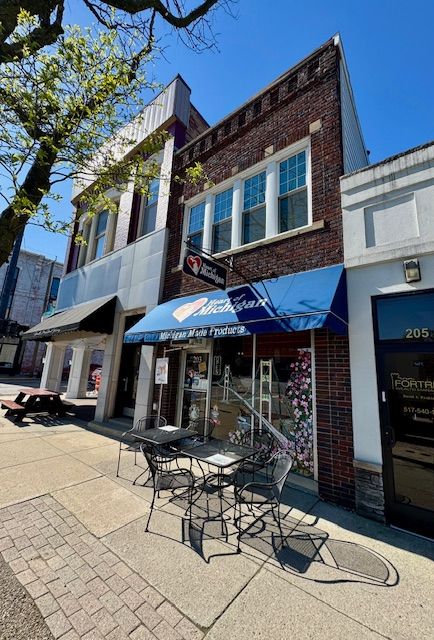 203 W GRAND RIVER Avenue
