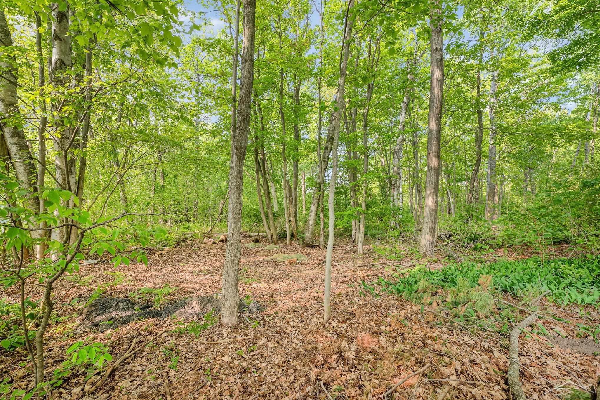 Cherry Grove Township, Michigan 49601, United States, 2 Bedrooms Bedrooms, ,1 BathroomBathrooms,Residential,Active,144330