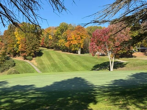 Tiny photo for 9380 Taylors Turn, Morton Township, MI 49346 (MLS # 65026055808)