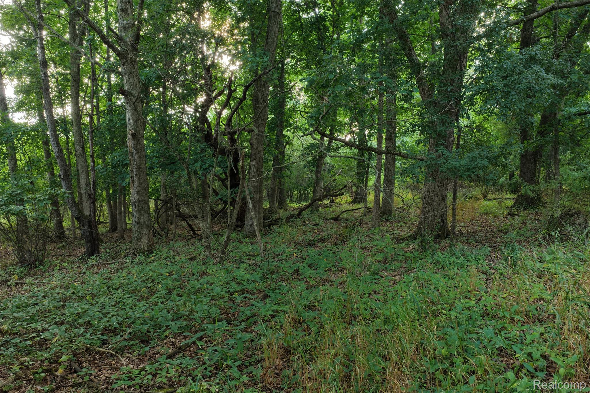 000 Harr Road