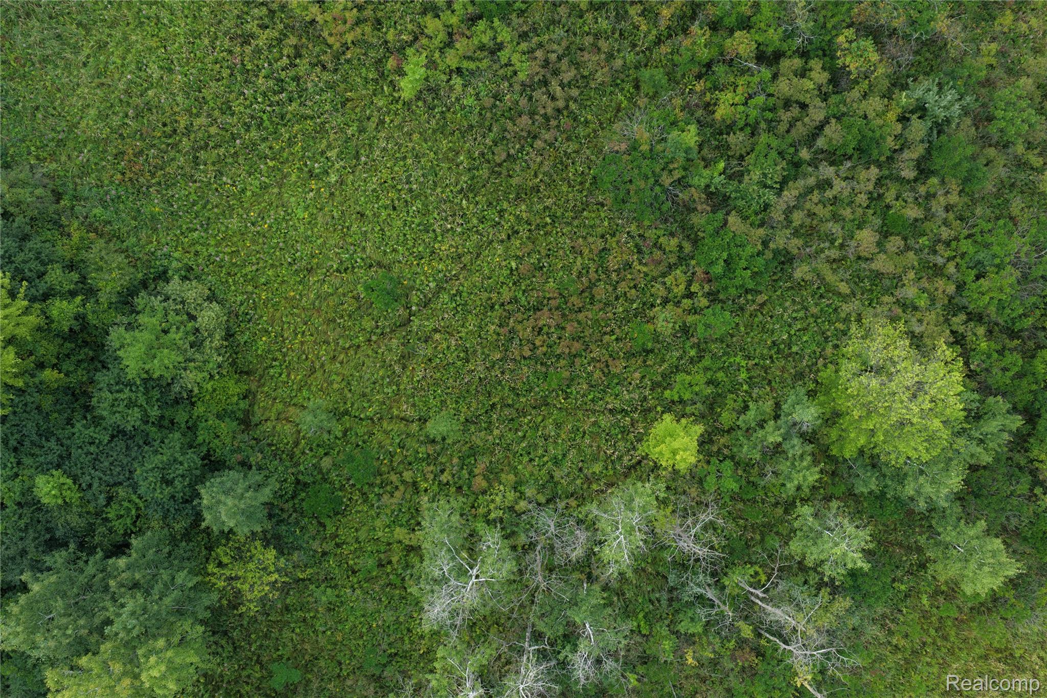 000 Harr Road