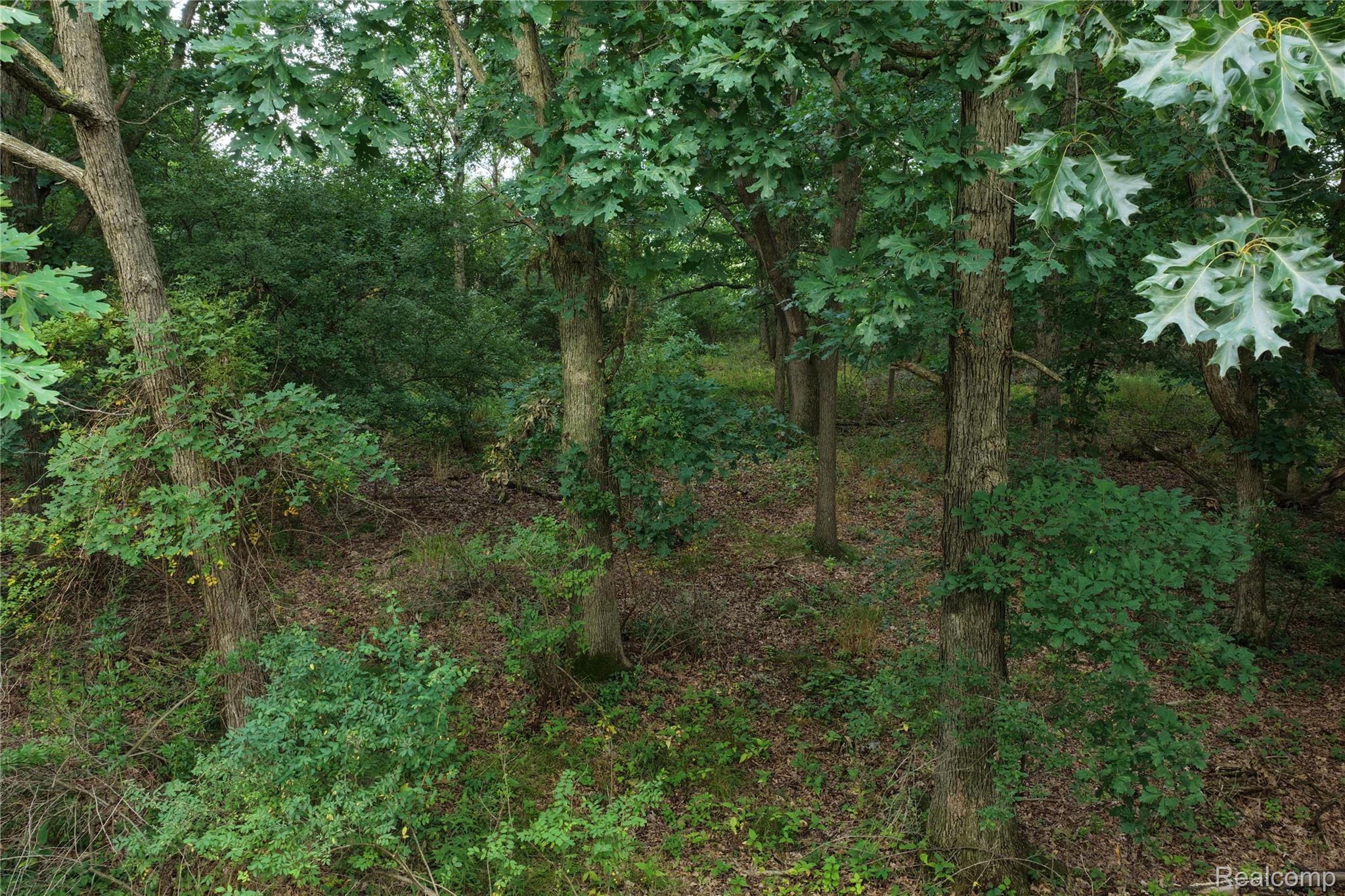 000 Harr Road