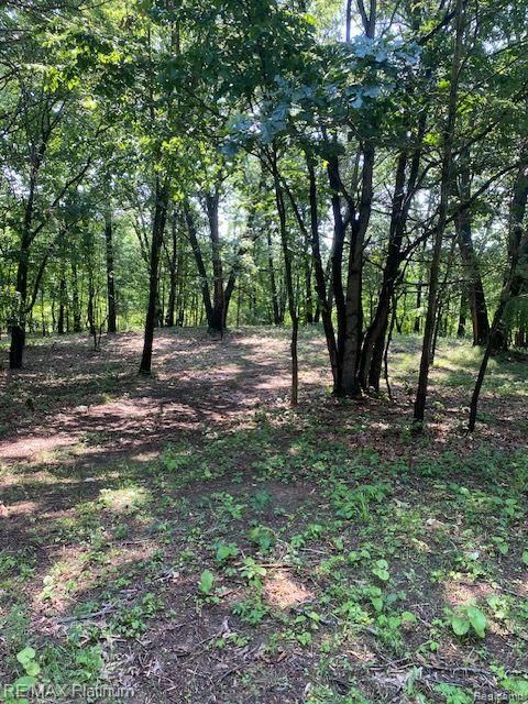 3 Sleaford-Parcel 3-3.17 Acres Road Howell Township MI 48843
