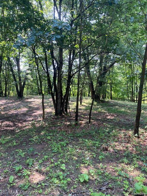3 Sleaford-Parcel 3-3.17 Acres Road