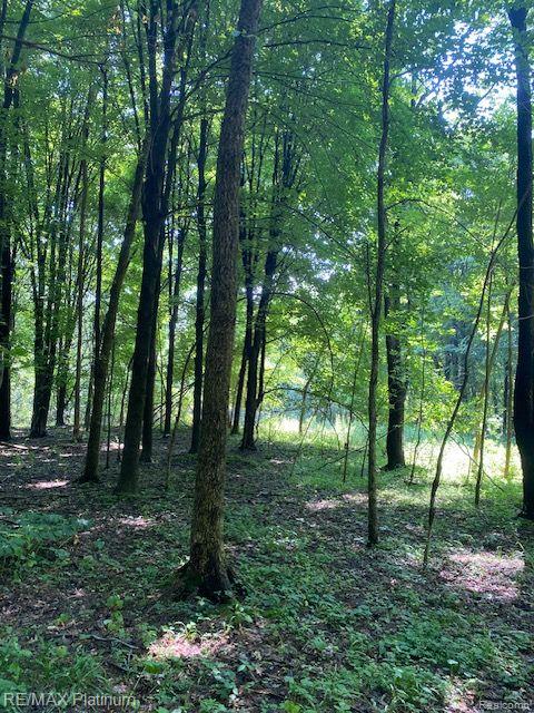 3 Sleaford-Parcel 3-3.17 Acres Road