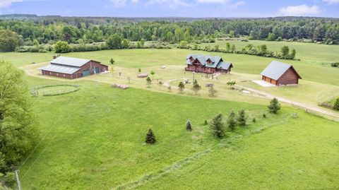 Photo of 4450 50th Avenue, Orient Township, MI 49679 (MLS # 72025024182)