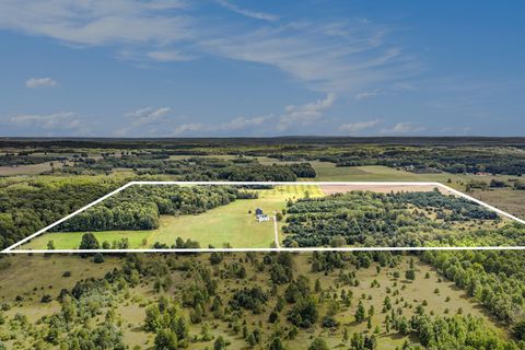 8110 Ames Road Bear Lake Township MI 49614