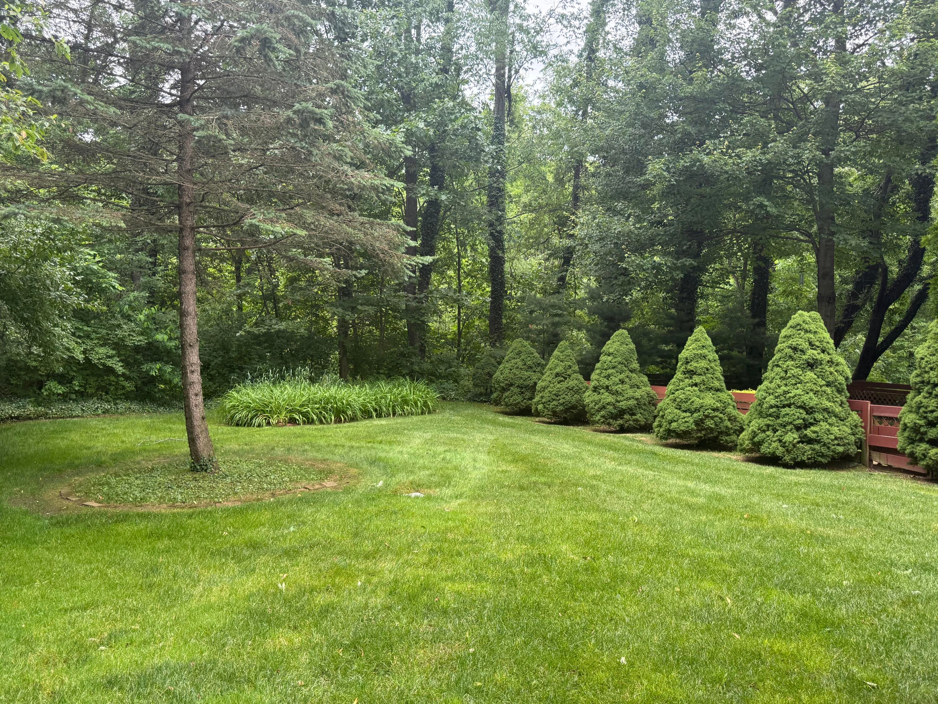 578 Wittenberg Path