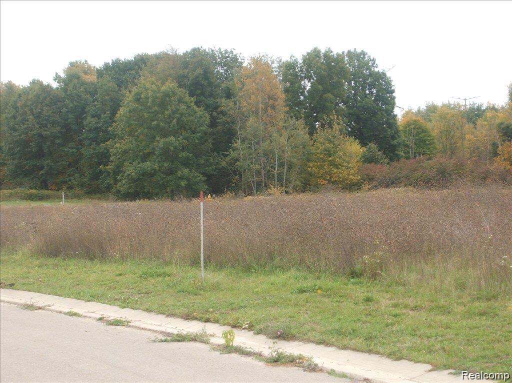 0000 Birch Meadows Lane