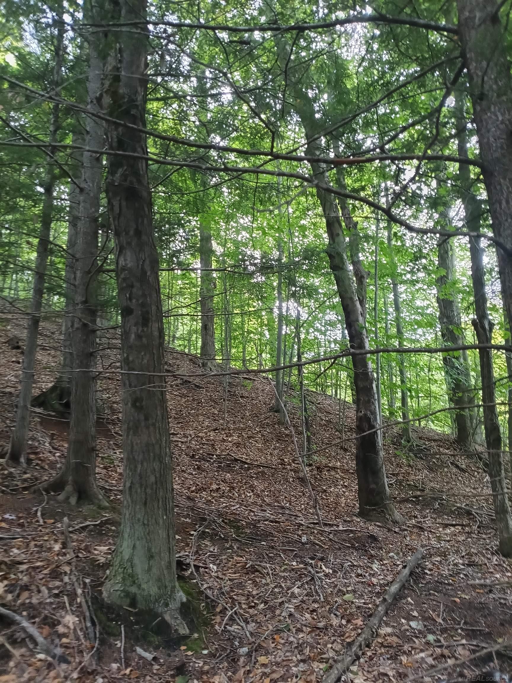 TBD E Dietz Road