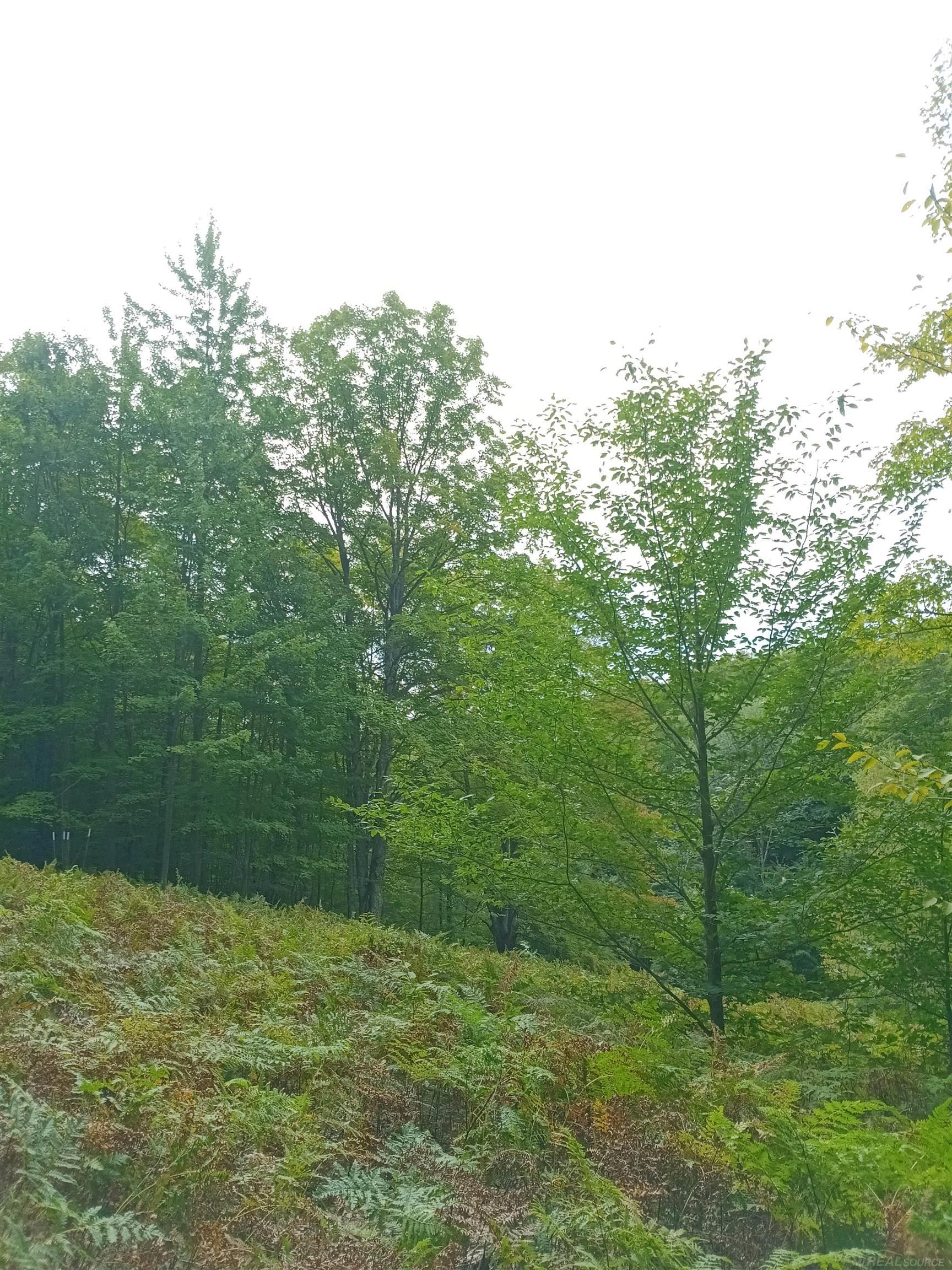 TBD E Dietz Road