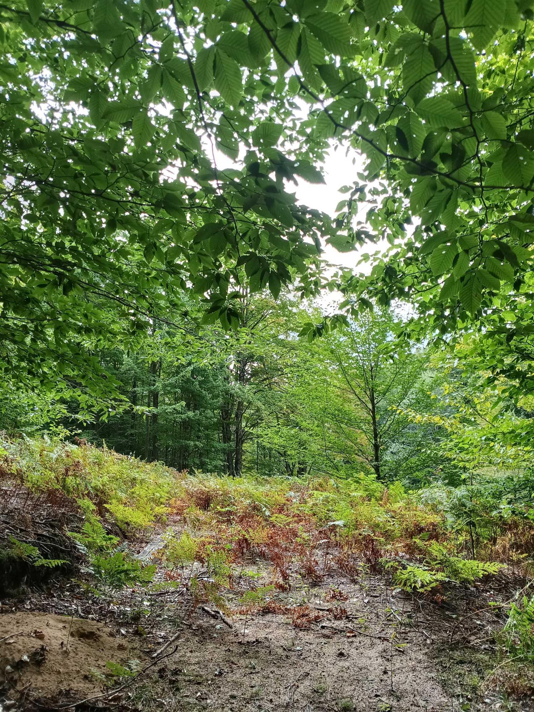 TBD E Dietz Road
