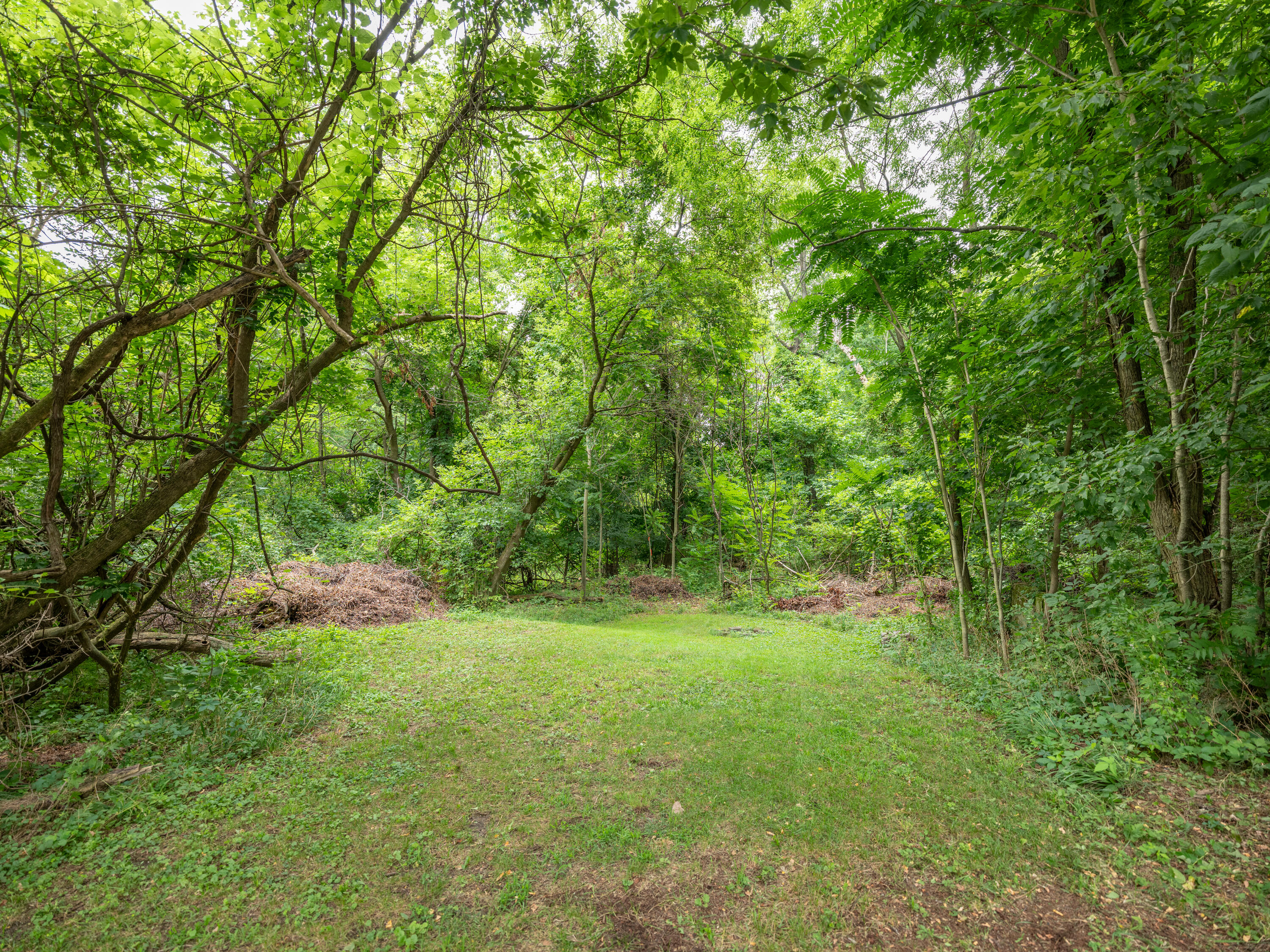 1620 Riverview Drive