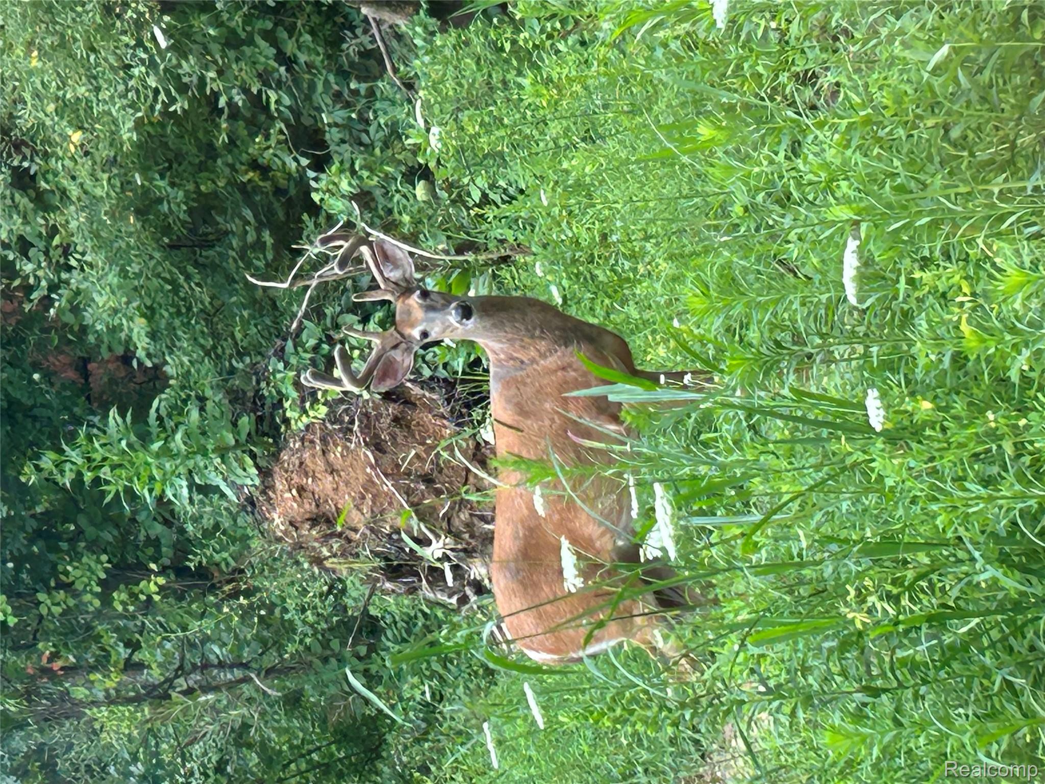 Parcel 3 Larkins Road