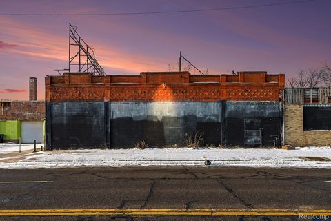 11325 Hamilton Avenue Detroit City MI 48202