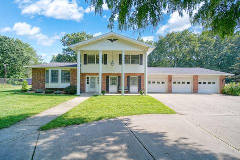 4209 N Dearing Road Sandstone Township MI 49269