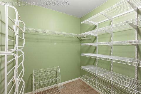 Tiny photo for 35950 Tamarack Court, New Baltimore City, MI 48047 (MLS # 20261016934)