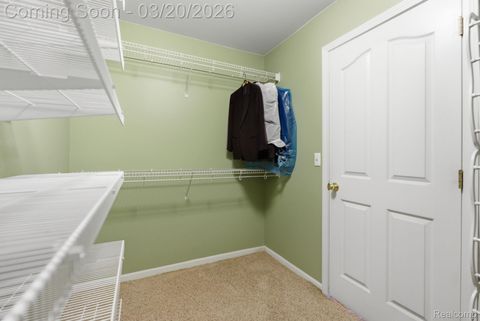 Tiny photo for 35950 Tamarack Court, New Baltimore City, MI 48047 (MLS # 20261016934)