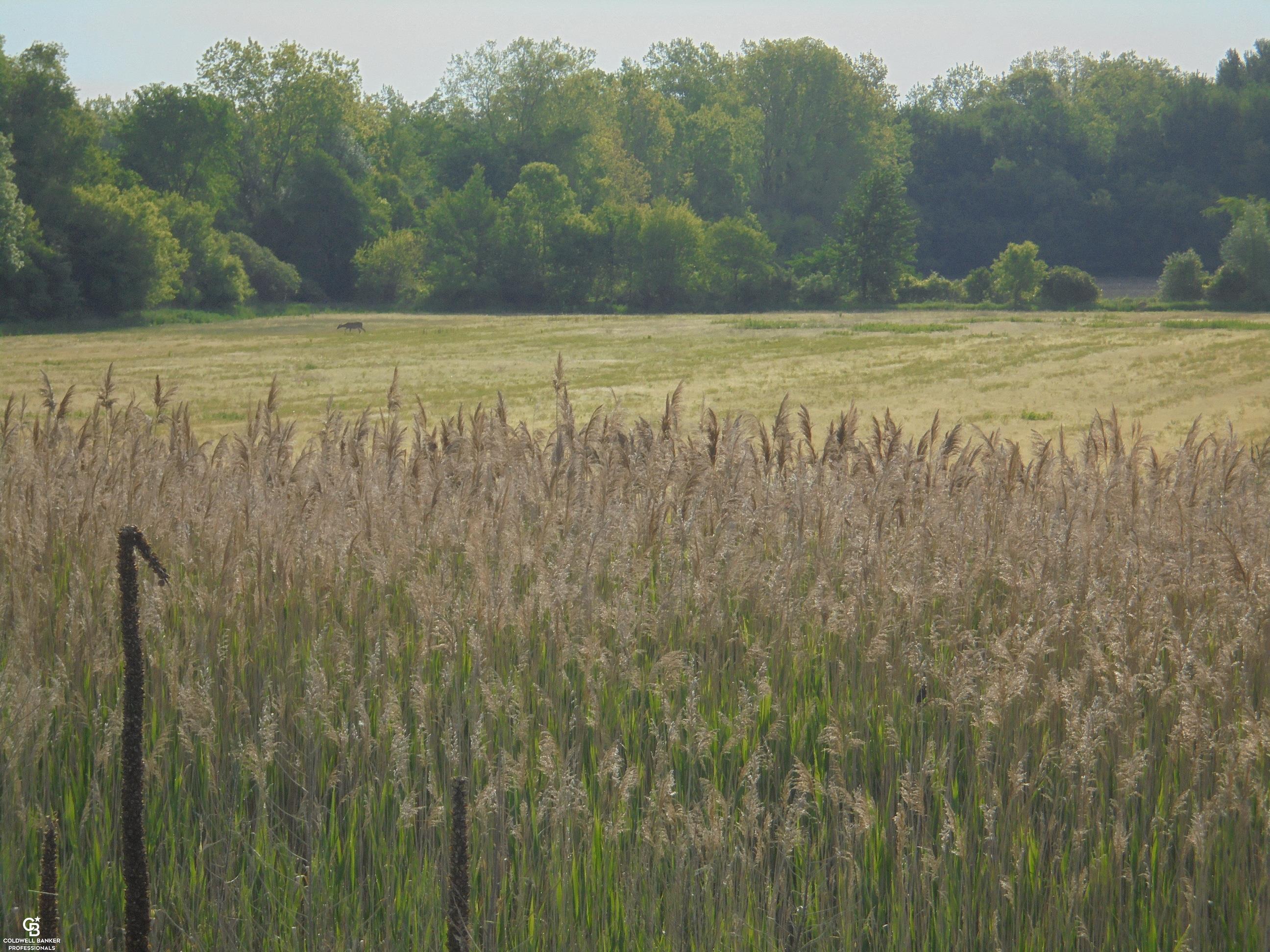 00 Armada Ridge Road