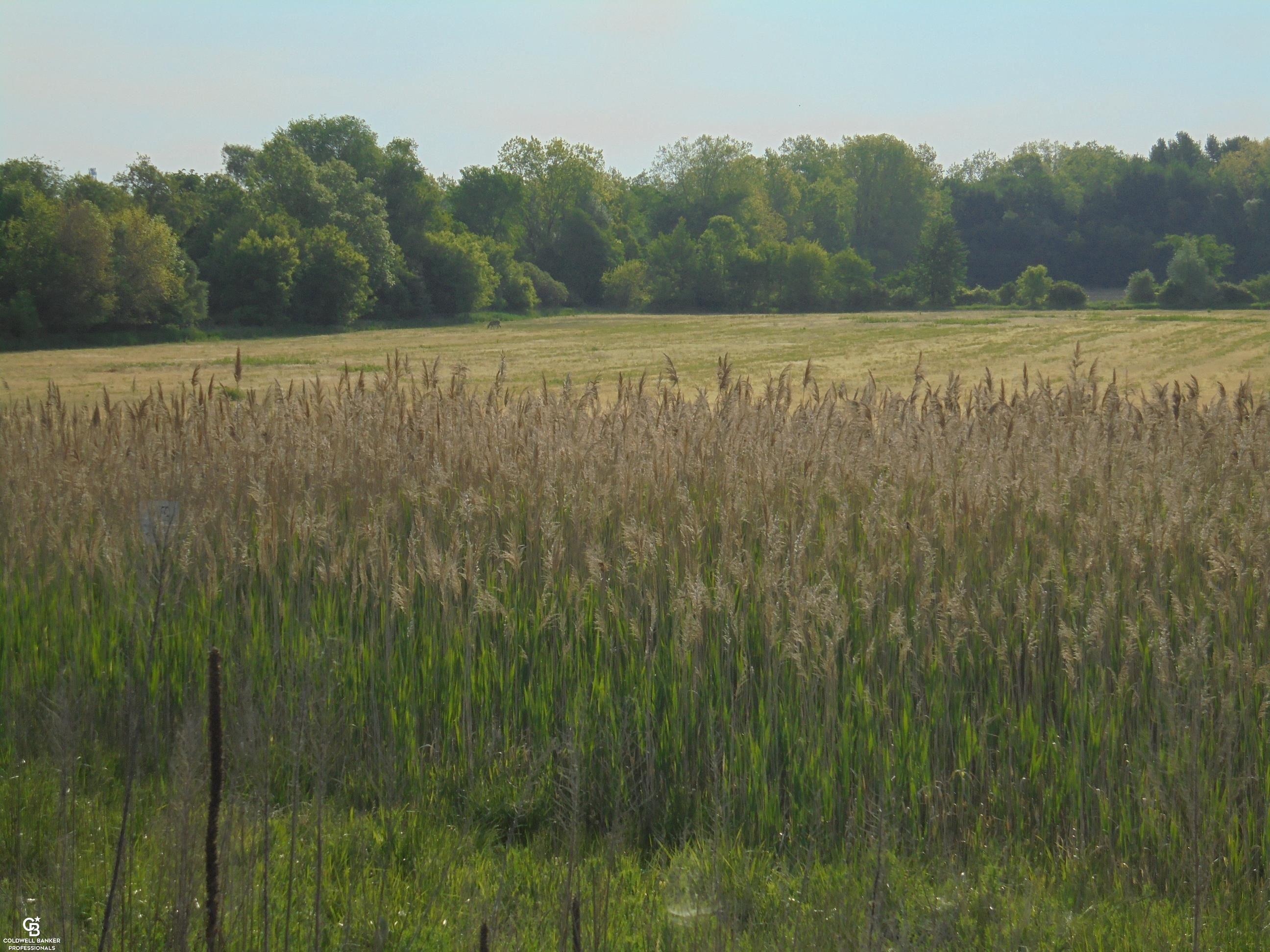 00 Armada Ridge Road