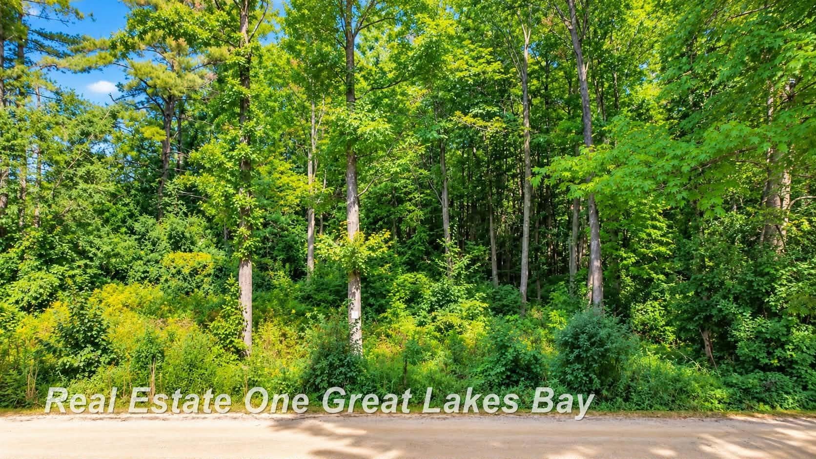 0 Pine Trl Trail