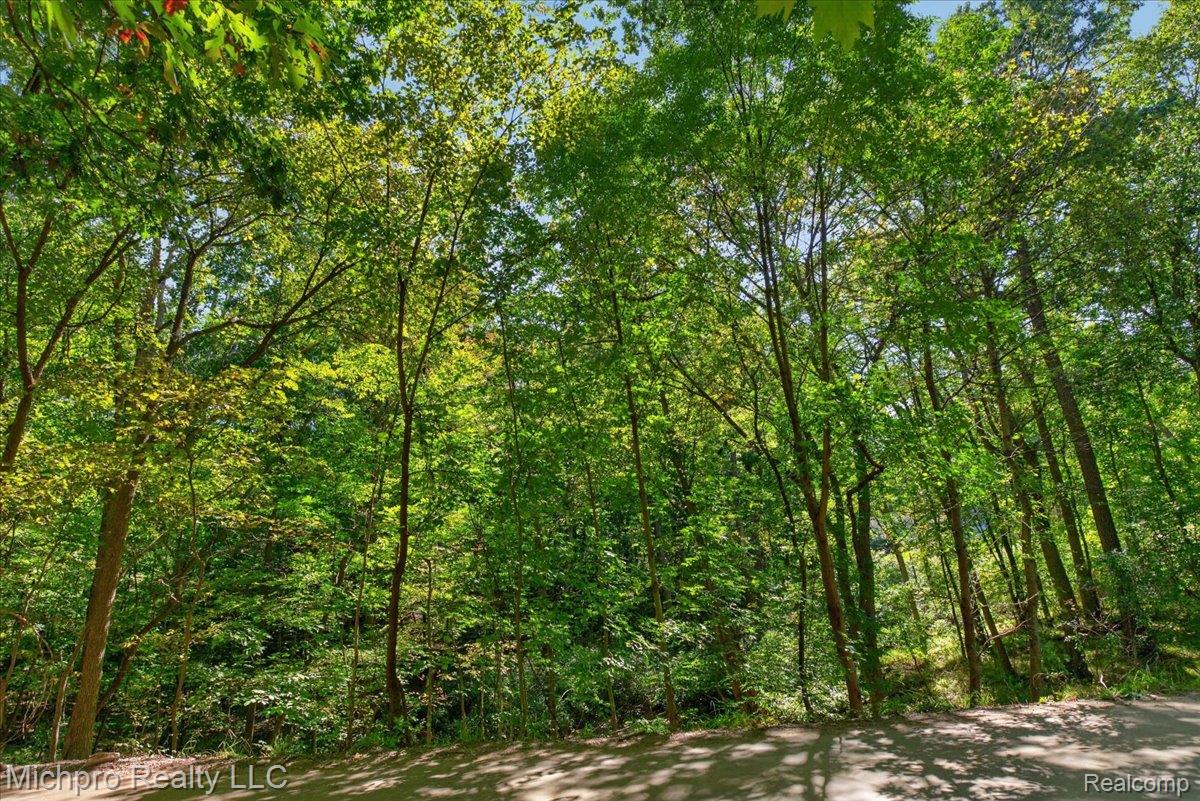 2899 Indian Lake Road