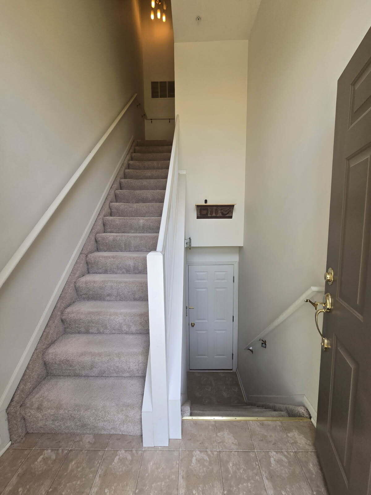 1141 Freesia Court