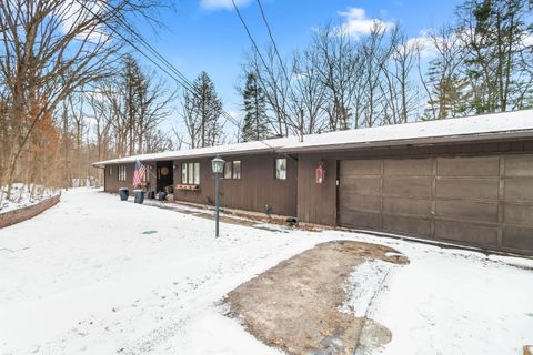 3671 Wildwood Court Cambria Township MI 49242